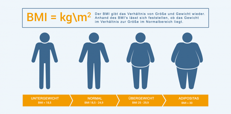 BMI Body Mass Index Definition Bedeutung Daten Und Alternativen