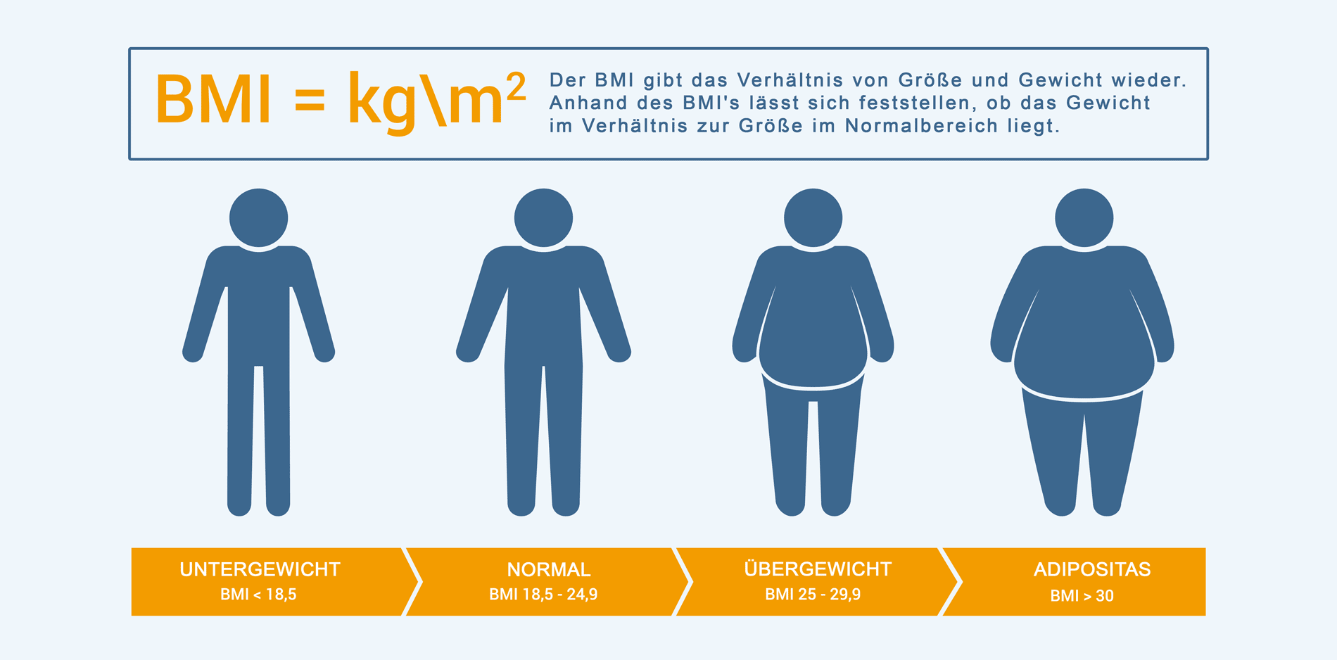 BMI - der Body Mass Index