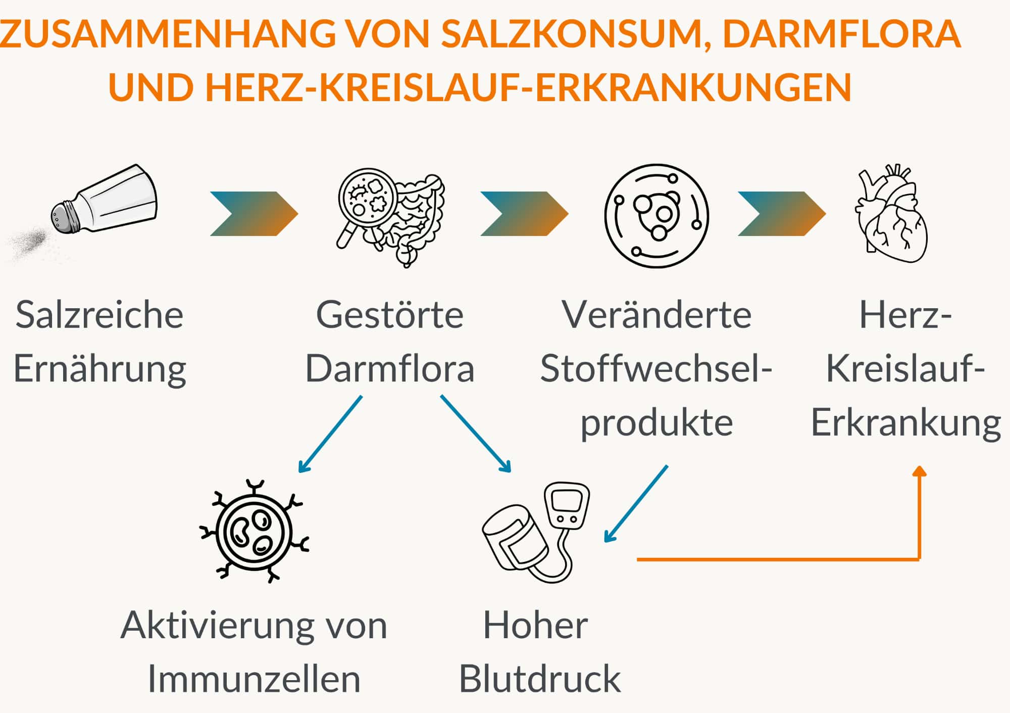 Zusammenhang von Salzkonsum, Darmflora und Herz-Kreislauf-Erkrankungen